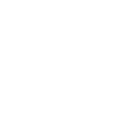 ring phone kiosin